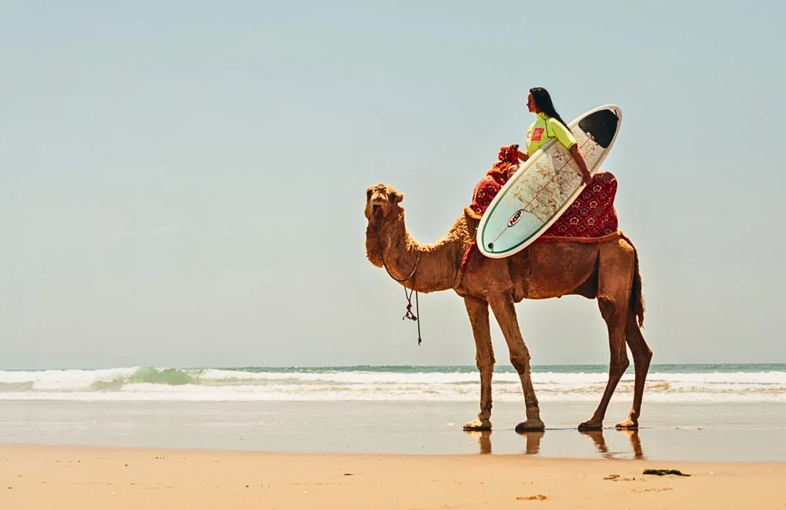 Surf